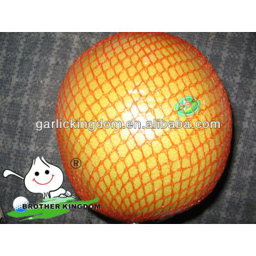 Nouvelle culture fruit frais pomelo